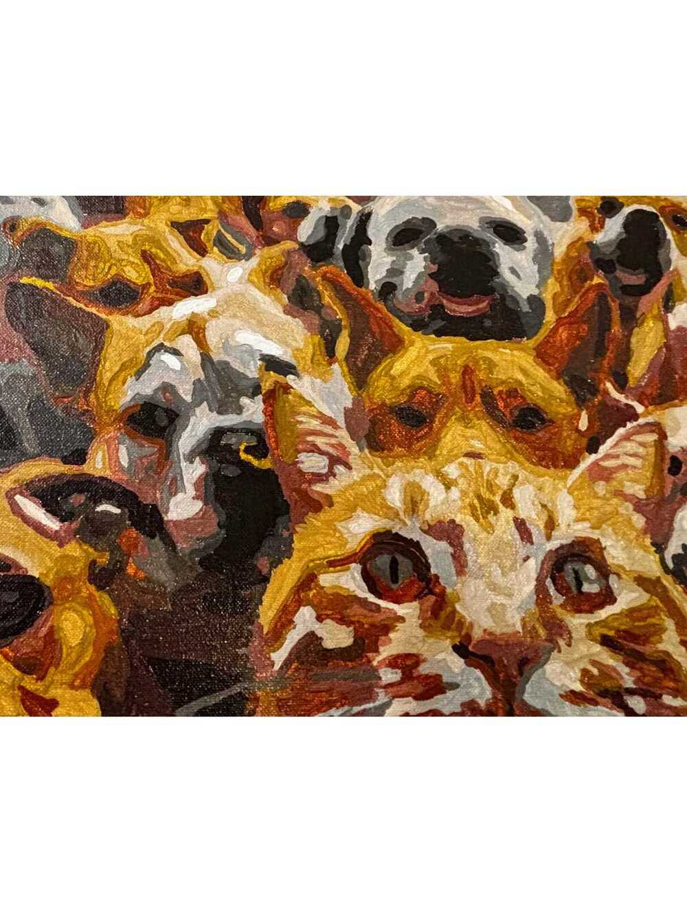 Say Cheese completed paint by numbers colorful wall decor - Picture 2 of 5
